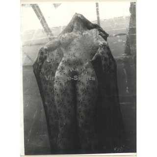 Erotic Study by Pjotr Van Moock: Beautiful Busty Nude Behind Lace Cloth*2 (Vintage XL Photo 40 x 30 CM 1980s)