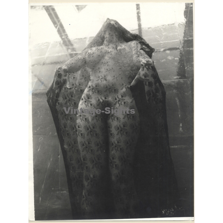Erotic Study by Pjotr Van Moock: Beautiful Busty Nude Behind Lace Cloth*2 (Vintage XL Photo 40 x 30 CM 1980s)