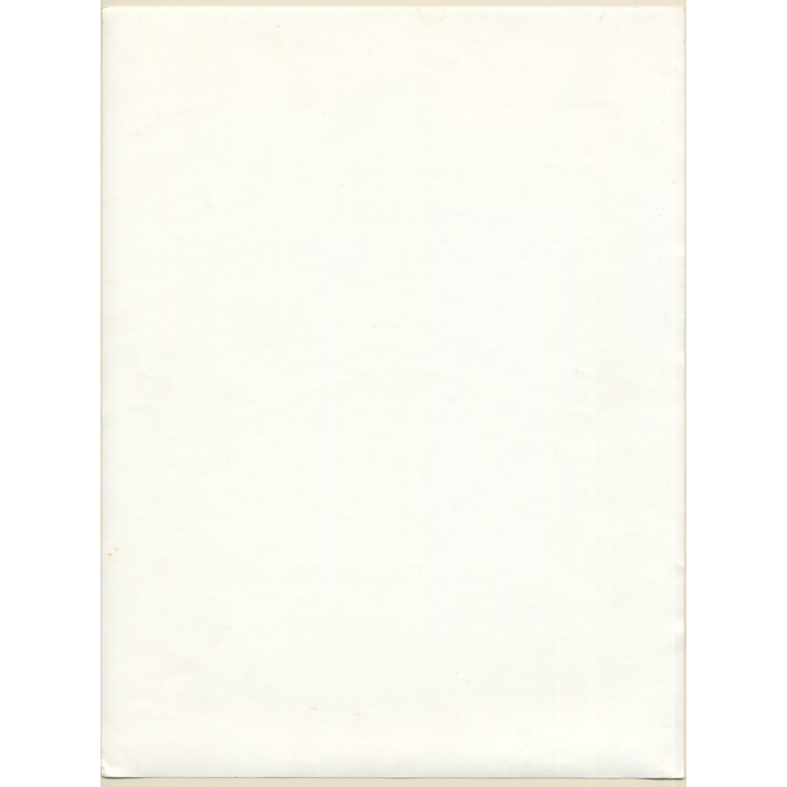 Erotic Study by Pjotr Van Moock: Beautiful Busty Nude Behind Lace Cloth*2 (Vintage XL Photo 40 x 30 CM 1980s)