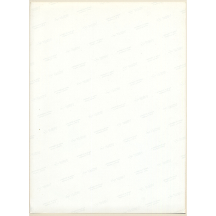 Erotic Study by Pjotr Van Moock: Topless Blonde Under Fishnet Veil (Vintage XL Photo 41 x 30 CM 1980s)