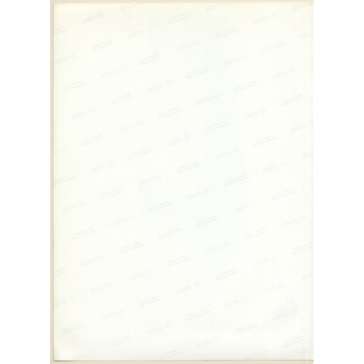 Erotic Study by Pjotr Van Moock: Blonde Nude In Mirror (Vintage XL Photo 42 x 30 CM 1980s)