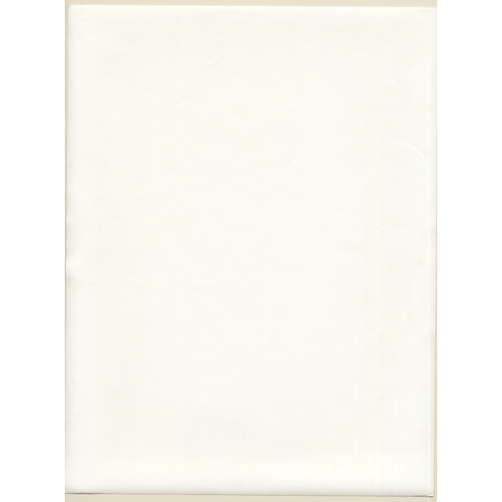 Erotic Study by Pjotr Van Moock: Experimental Take Of Busty Nude With Cigarette (Vintage XL Photo 40 x 30 CM 1980s)