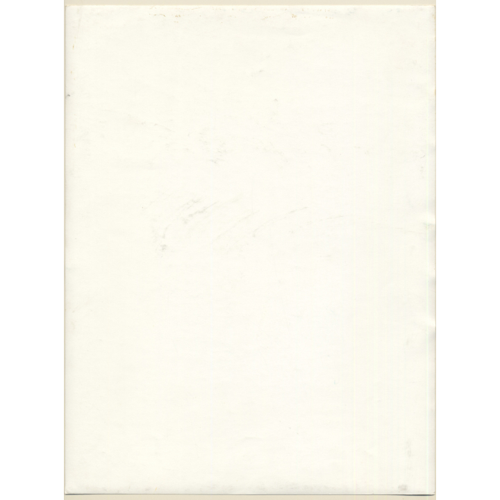 Erotic Study by Pjotr Van Moock: Experimental Take Of Busty Nude With Cigarette*2 (Vintage XL Photo 40 x 30 CM 1980s)