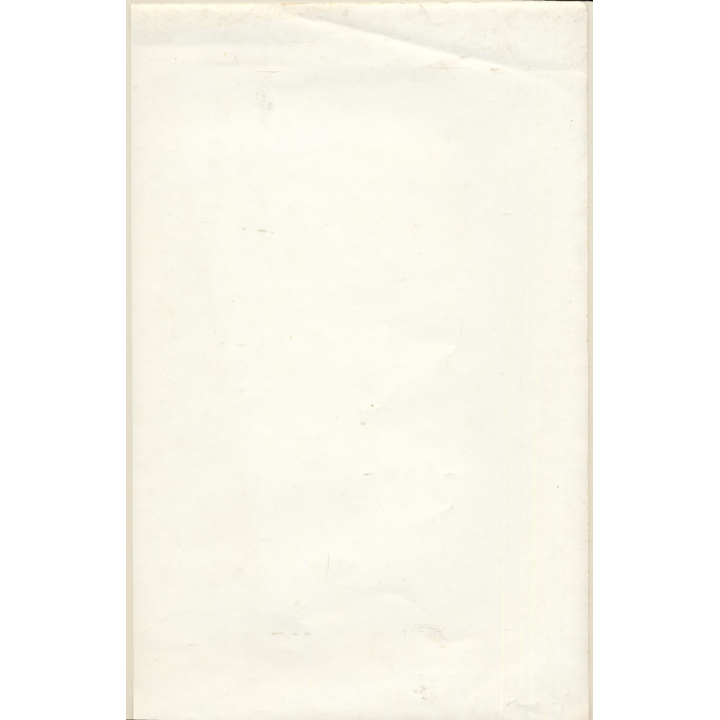 Erotic Study by Pjotr Van Moock: Nude Female In Leather Strap Bikini (Vintage XL Photo 44 x 27 CM 1980s)