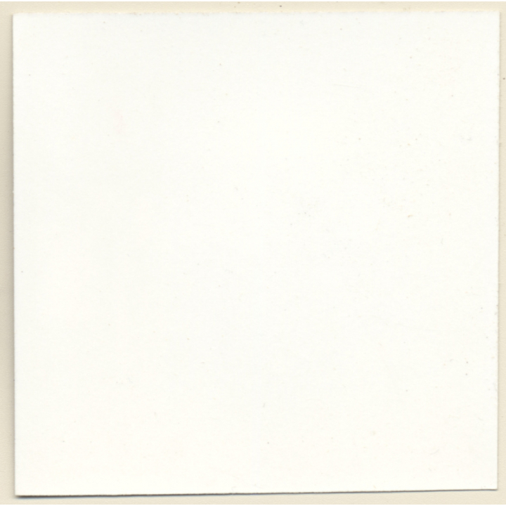 Erotic Study: 2 Nude Girlfriends Under Tree / Nudism (Vintage Contact Sheet 1970s/1980s)