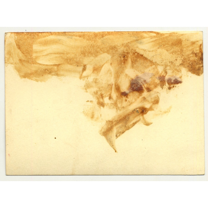 2 Lionesses Lingering In Steppe / Africa - Congo? (Vintage Photo B/W ~1930s1940s)