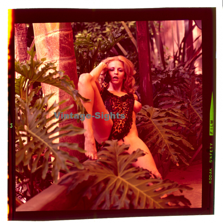 Erotic Study: Pretty Blonde Woman Outdoors*7 / Boob Flash (Vintage Diapositive KORENJAK 1970s/1980s)