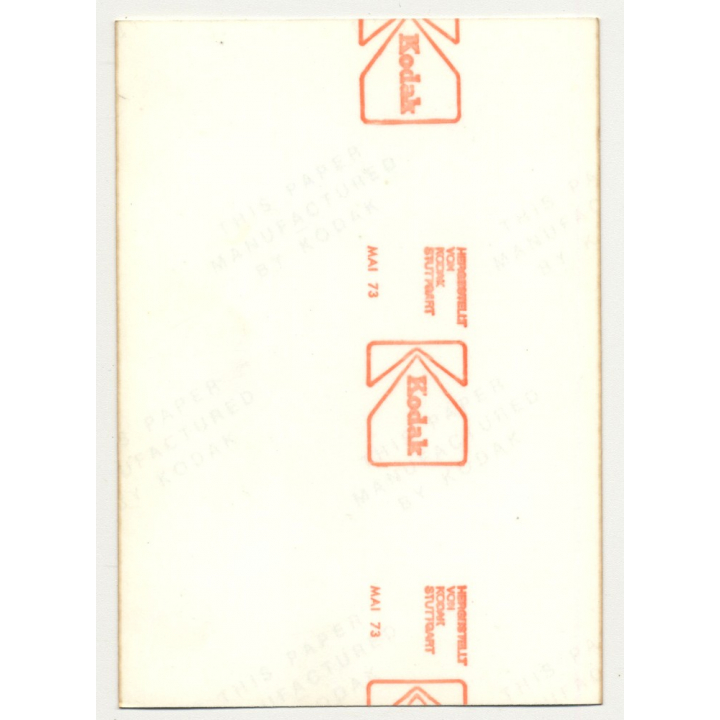 Natural Busty Nude Woman In Forest *6 (Vintage Photo Germany 1973)