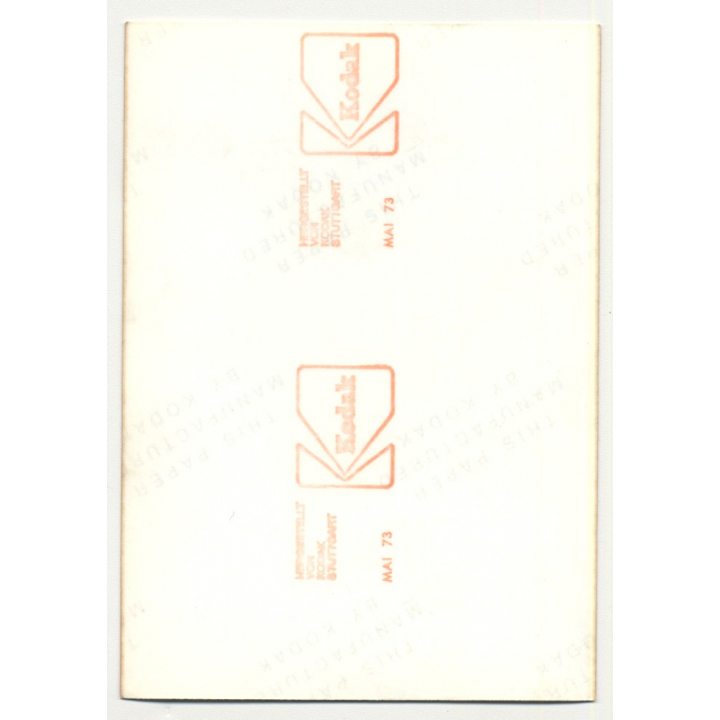 Natural Busty Nude Woman In Forest *7 (Vintage Photo Germany 1973)