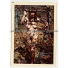 Natural Busty Nude Woman In Forest *11 (Vintage Photo Germany 1973)