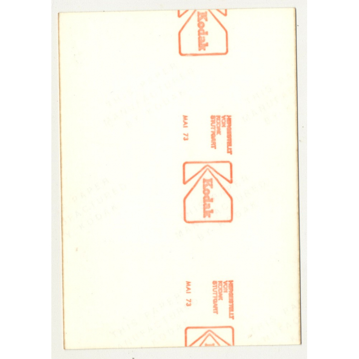 Natural Busty Nude Woman In Forest *11 (Vintage Photo Germany 1973)