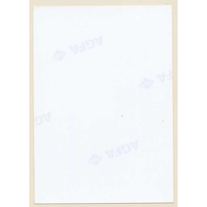 Erotic Study: Natural Topless Darkhaired Female On Meadow*5 (Vintage Photo ~1990s)