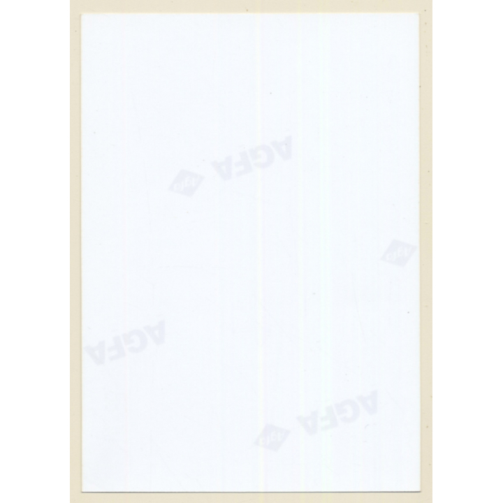 Erotic Study: Natural Topless Darkhaired Female On Meadow*6 (Vintage Photo ~1990s)