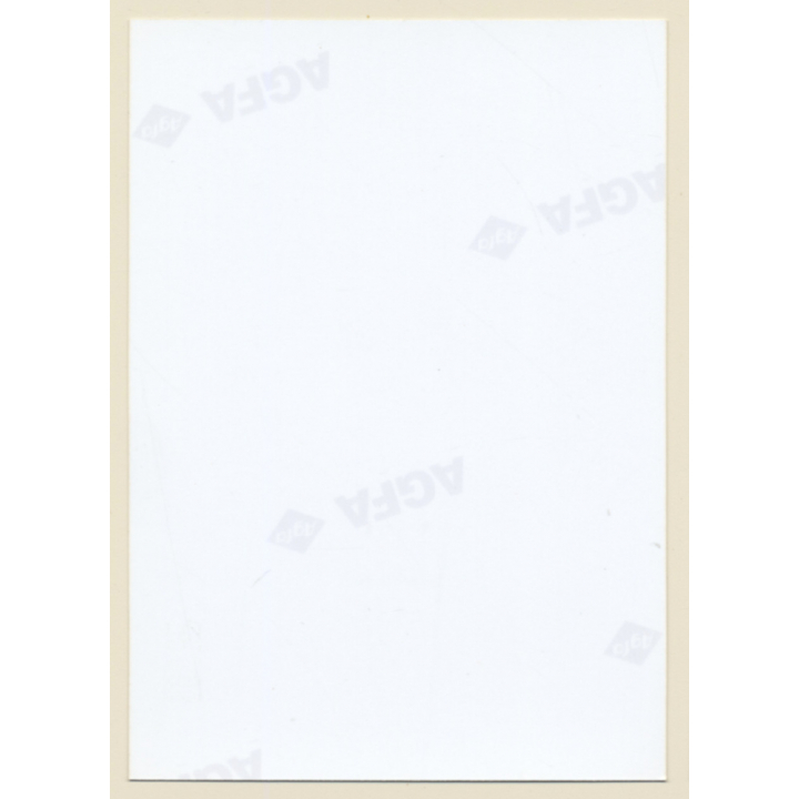 Erotic Study: Natural Topless Darkhaired Female On Meadow*8 (Vintage Photo ~1990s)