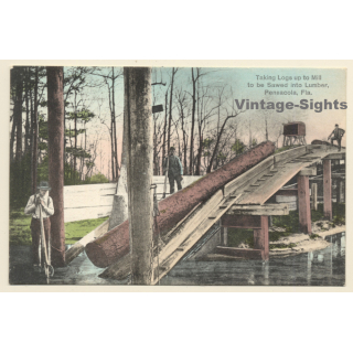 Pensacola / Florida: Log On Sawmill / Lumber (Vintage PC ~1910s/1920s)
