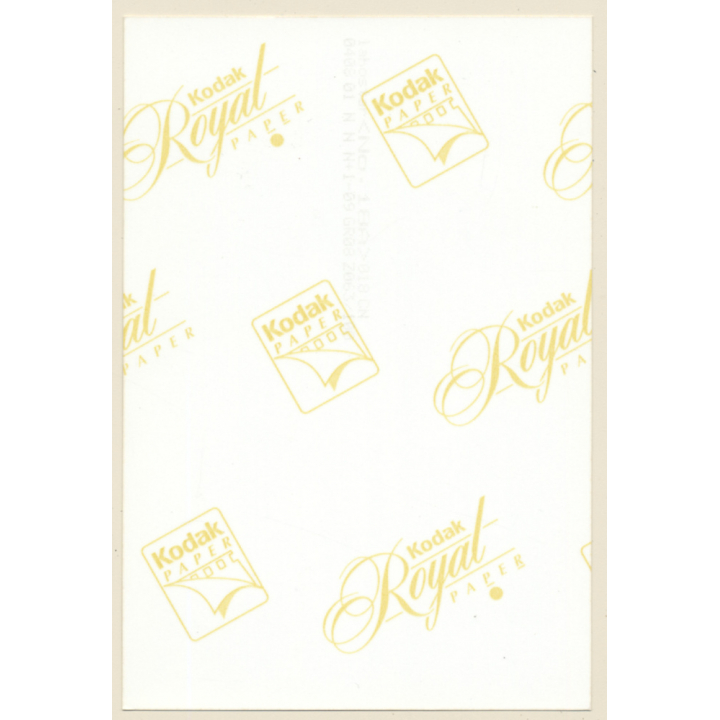 Erotic Study: Slim Darkhaired Nude On Bed Looking At Camera (Vintage Photo France ~1980s)