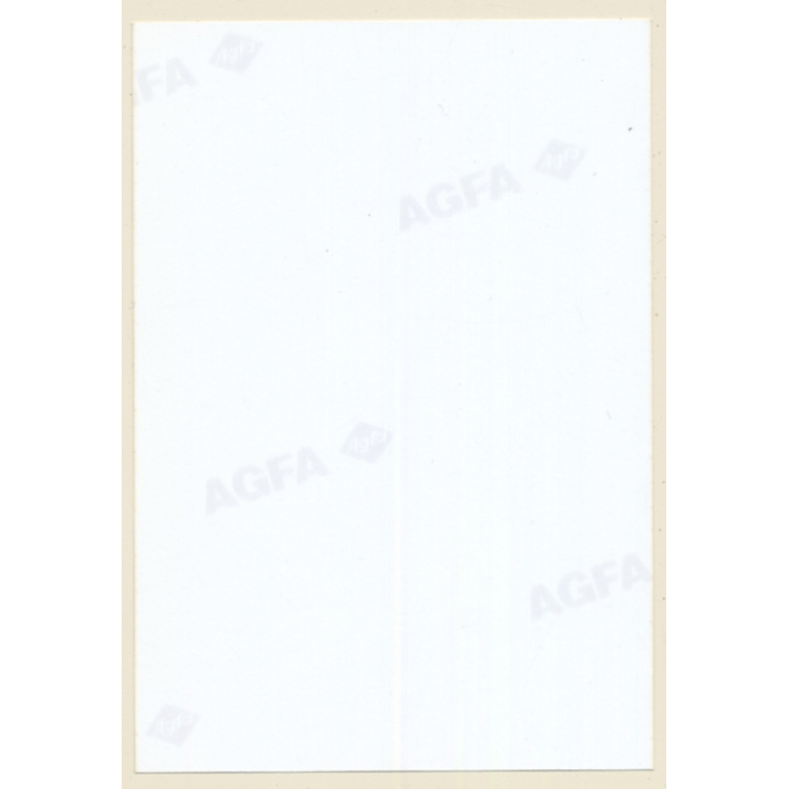 Erotic Study: Slim Lascivious Semi Nude Brunette*1 / Boobs (Vintage Photo ~1990s)