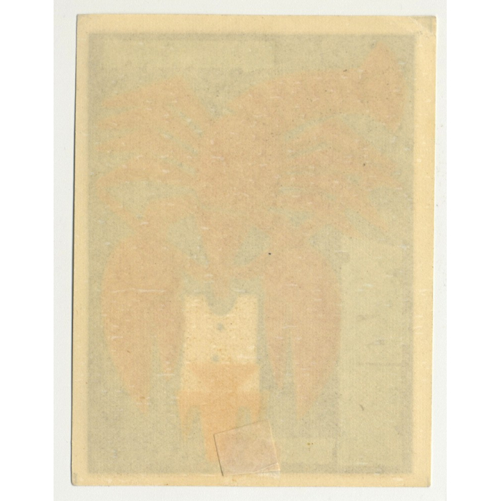 Hotel Druzba - Rakovnik / Czechoslovakia (Vintage Luggae Label) LOBSTER