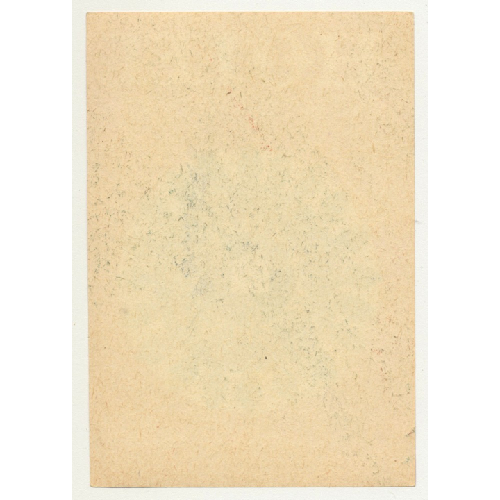 Hotel W Gierlozy - Warszaw / Poland (Vintage Luggae Label)