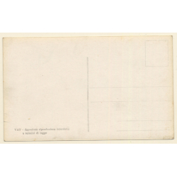 Colony Tripoli Italiana: Panorama *3 (Vintage RPPC ~1910s)