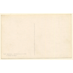 Colony Tripoli Italiana: Triumphant Entry Of Italian Troops (Vintage RPPC ~1910s)
