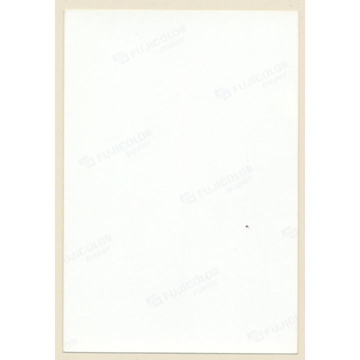 Erotic Study: Natural Busty Blonde Nude On Bed / Suspenders (Vintage Photo ~1990s)