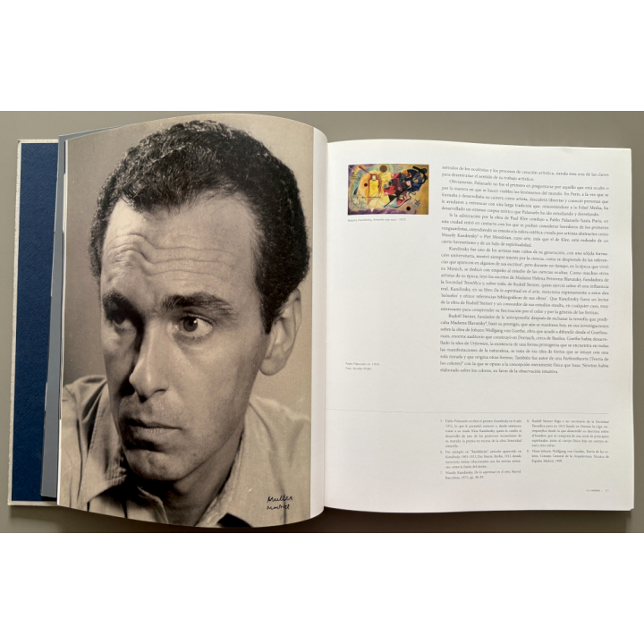 Pablo Palazuelo: El Plano Expandido (Book BANCA MARCH 2011)