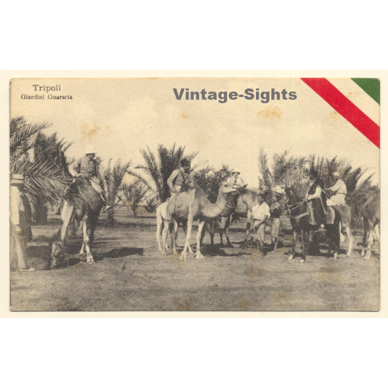 Italo-Turkish War (1911-1912): Tripoli - Guarscia Gardens - Soldiers On Camels (Vintage PC ~1910s)