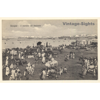 Colony Tripoli Italiana: Bengasi - Cattle Market (Vintage PC 1910s)