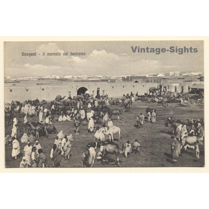 Colony Tripoli Italiana: Bengasi - Cattle Market (Vintage PC 1910s)