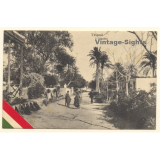Colony Tripoli Italiano: I Giardini - The Garden (Vintage PC 1910s)