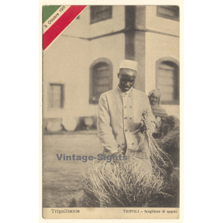 Colony Tripoli Italiano: Sceglitore Di Sparto / Ethnic (Vintage PC 1910s)