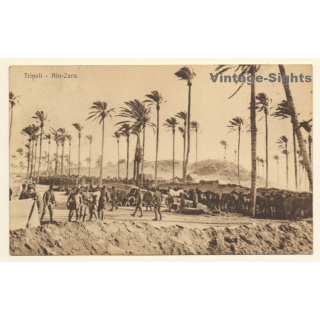 Italo-Turkish War (1911-1912): Tripoli - Military Troops At Ain-Zara (Vintage PC 1912)