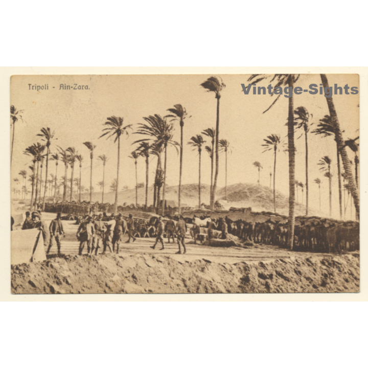 Italo-Turkish War (1911-1912): Tripoli - Military Troops At Ain-Zara (Vintage PC 1912)