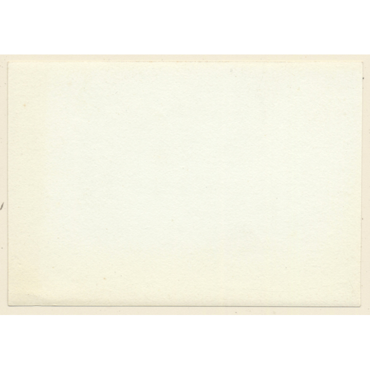 Antwerp / Anvers: Musée Du Steen (Vintage Photo Sepia ~1900s/1910s)