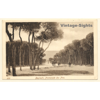 Beirut / Lebanon: Promenade Des Pins (Vintage PC ~1910s/1920s)