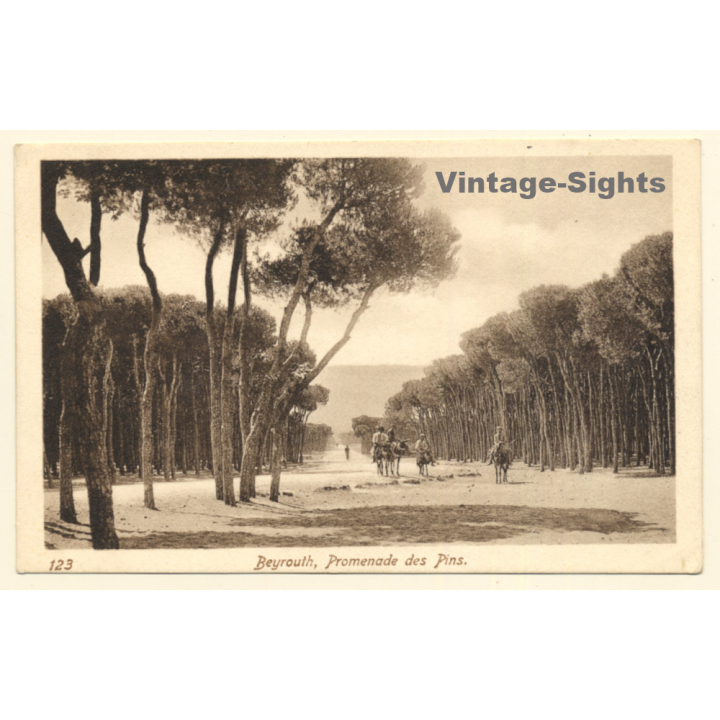 Beirut / Lebanon: Promenade Des Pins (Vintage PC ~1910s/1920s)