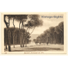 Beirut / Lebanon: Promenade Des Pins (Vintage PC ~1910s/1920s)
