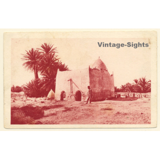 Algeria: A Marabout In The Tolga Cemetery (Vintage PC ~1930s)