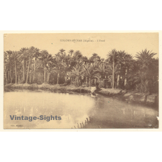 Colomb-Béchar / Algeria: L'Oued - La Palmeraie (Vintage PC 1926)