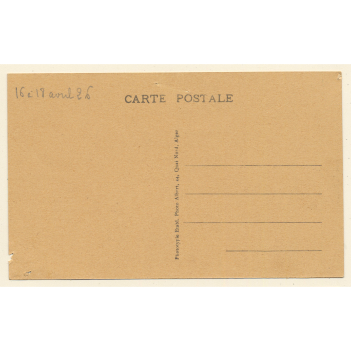 Colomb-Béchar / Algeria: L'Oued - La Palmeraie (Vintage PC 1926)