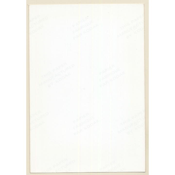 Erotic Study: Great Take Of Nude Female On Oriental Carpet (Vintage Photo France ~1980s)