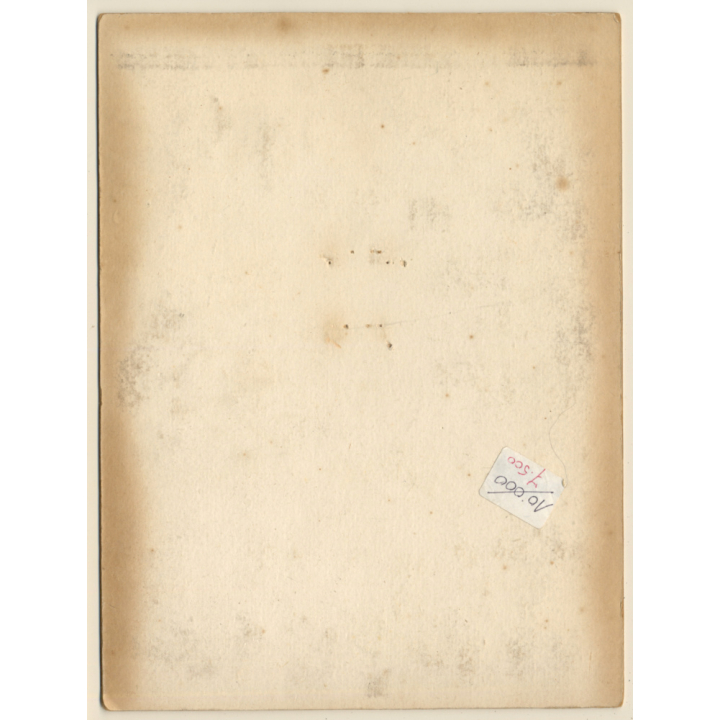 Portrait Of 2 Elegant Handsome Young Men / Gay INT (Vintage Photo ~1920s/1930s)