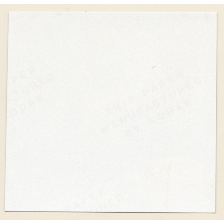 Erotic Study: Racy Blonde Nude Relaxes In The Sun*2 / Boobs (Vintage Contact Print 1970s/1980s)