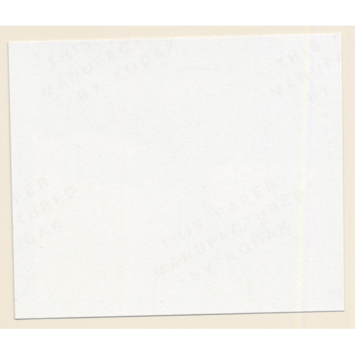 Erotic Study: Racy Blonde Nude Relaxes In The Sun*3 / Legs (Vintage Contact Print 1970s/1980s)