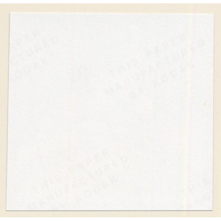 Erotic Study: Racy Blonde Nude Relaxes In The Sun*4 / Legs (Vintage Contact Print 1970s/1980s)