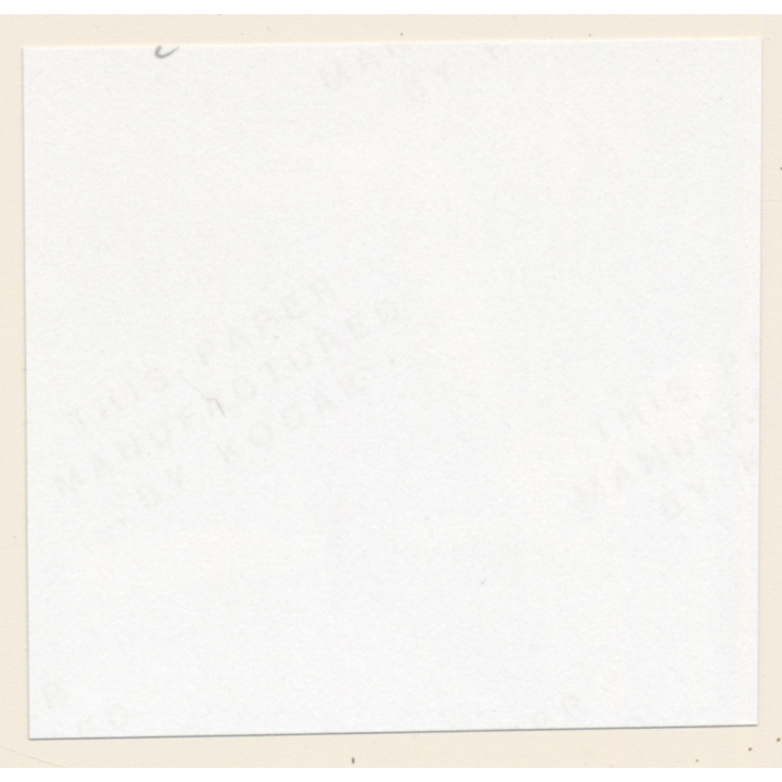 Erotic Study: Racy Blonde Nude Relaxes In The Sun*5 / Legs (Vintage Contact Print 1970s/1980s)