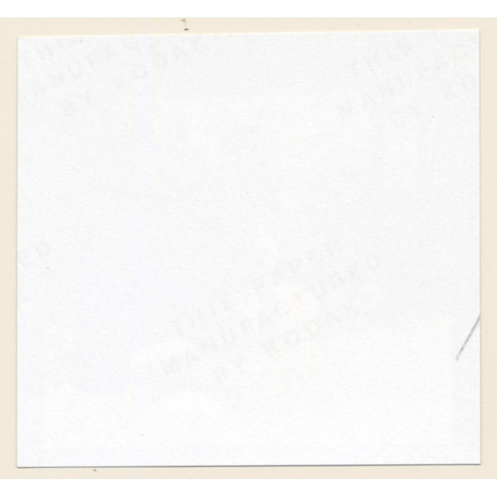 Erotic Study: Racy Blonde Nude Relaxes In The Sun*9 / Legs (Vintage Contact Print 1970s/1980s)