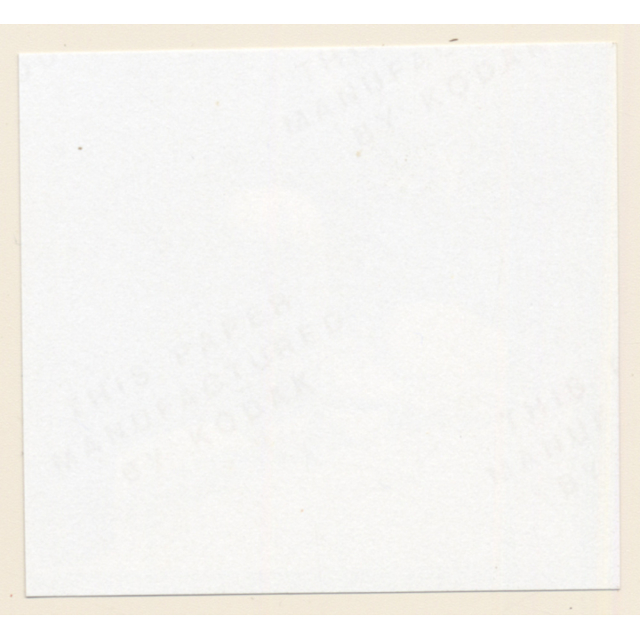 Erotic Study: Racy Blonde Nude Relaxes In The Sun*10 / Butt (Vintage Contact Print 1970s/1980s)