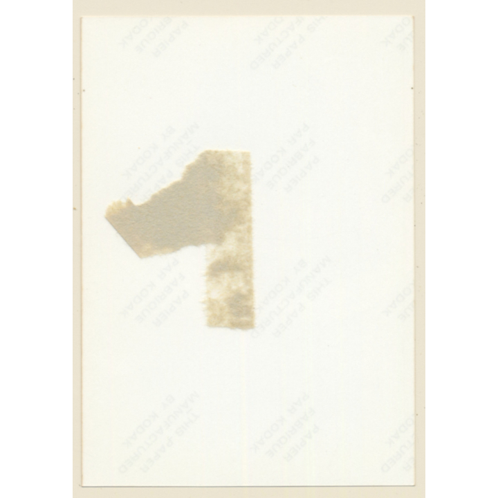 Erotic Study: Natural Busty Longhaired Nude *2 / Pensive (Vintage Photo ~1980s)